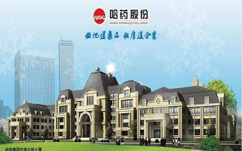 哈藥集團(tuán)人力資源管理體系建設(shè)項(xiàng)目